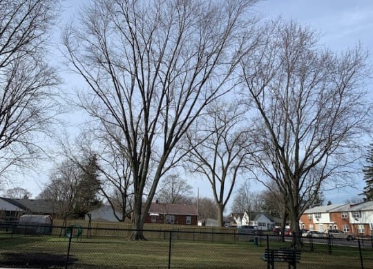 A park with a bench and a fence.