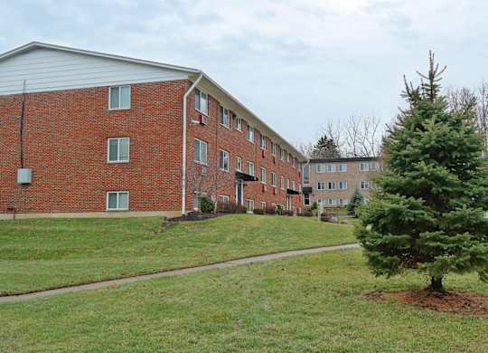 A tree is planted in a grassy area in front of a red brick building.