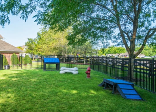 a fenced in dog park with a picnic table and a fire hydrant