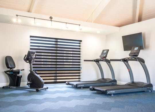 two treadmills and a tv in a gym room