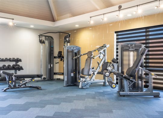 a gym with cardio equipment and weights in a building