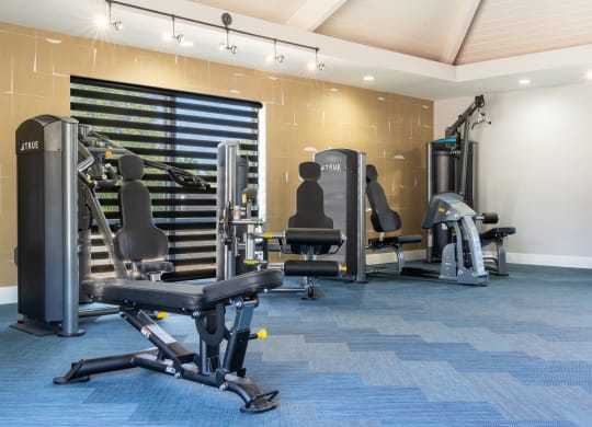 a gym with weights and cardio equipment in a hotel room