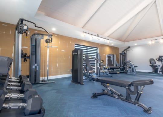 a gym with cardio equipment and weights on a blue floor