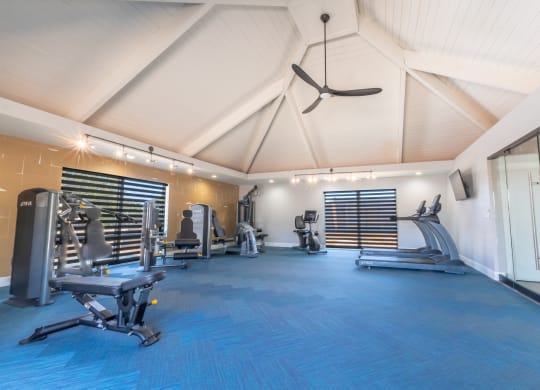 a gym with cardio machines and weights on a blue floor