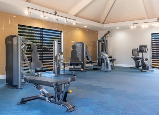a gym with cardio equipment and treadmills in a building