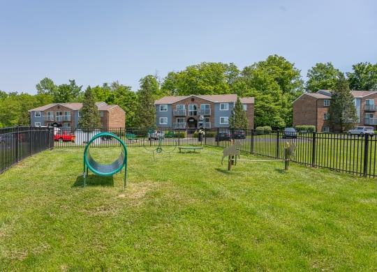 the preserve at ballantyne commons dog park apartments ga