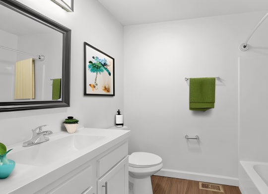 a bathroom with a sink and a toilet and a shower