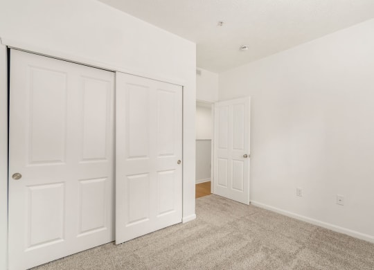 a bedroom with two closets and a carpeted floor