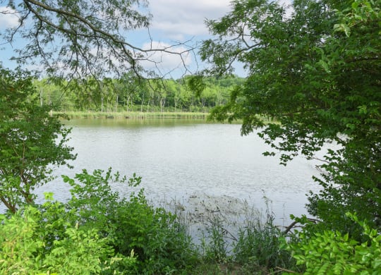 a view of a lake through the trees at The Woodridge Collection, Fairfield, OH 
