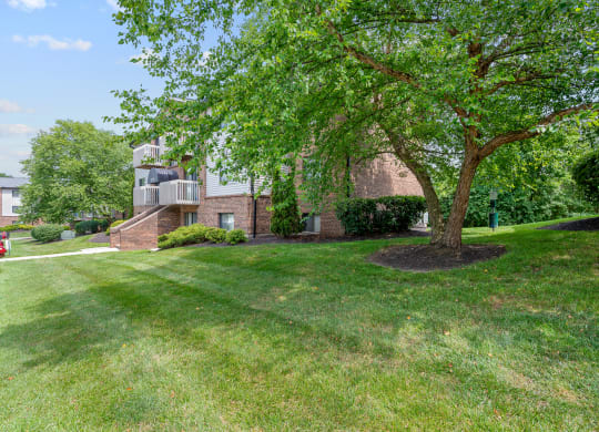 a large tree in front of a brick building at The Woodridge Collection, Fairfield Ohio