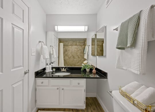White bathroom with a black counter top and a mirror at Wrights Point, 41011