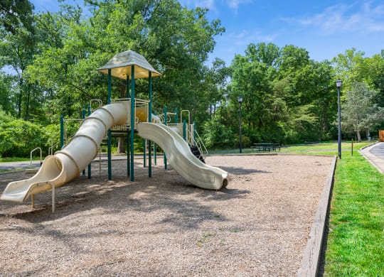 a playground with a slide in a park