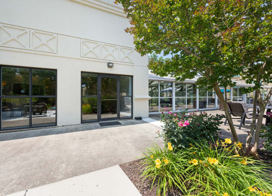 a sidewalk in front of a white building with glass doors
