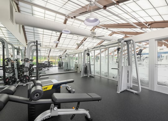 a gym with weights and other equipment and glass ceilings