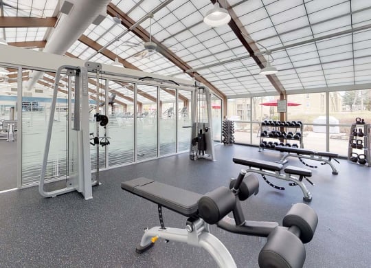 Fitness Center, Weight room, free weights at Stuart Woods Apartments, Herndon VA, 20170