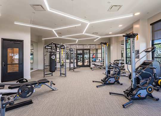a gym with cardio machines and weights in a building with windowsat Sterling Nashville West Apartments, Nashville, Tennessee