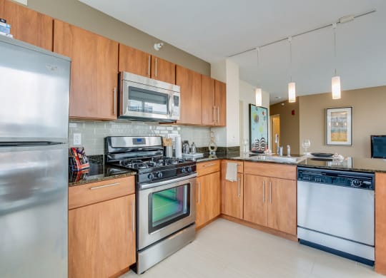 Upscale Stainless Steel Appliances at Flair Tower, Chicago, IL