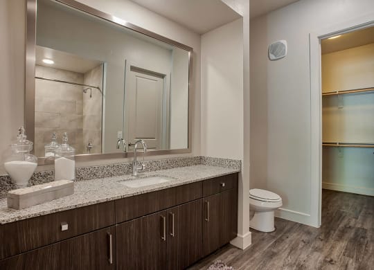 Spacious Bathrooms at Windsor by the Galleria, Texas, 75240