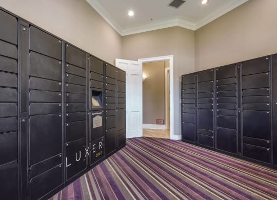 24-Hour Package Lockers at The Estates at Park Place, 94538, CA