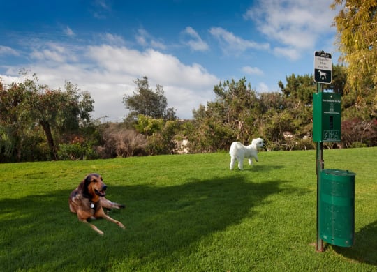 Green Spaces in Pet-Friendly Community at Windsor at Aviara, Carlsbad, CA