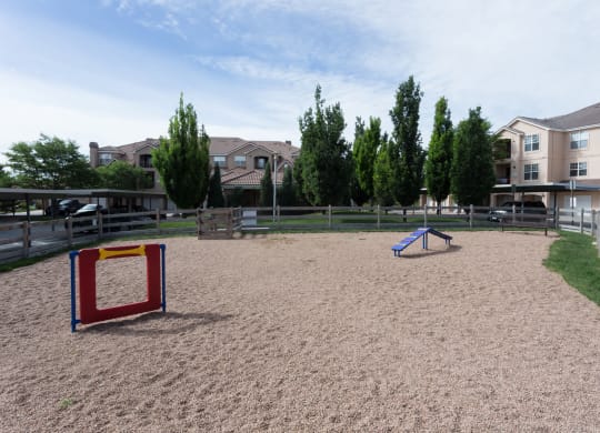 Dog Park with Sand, Grass, and Obstacles at Windsor at Meridian, Englewood, Colorado