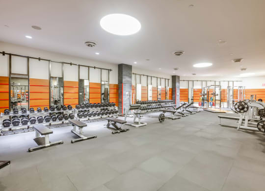 State-of-the-Art Fitness Center at The Ashley Apartments, New York, NY