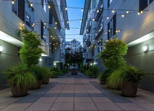 Stunning courtyards at Tera Apartments, Washington, 98033