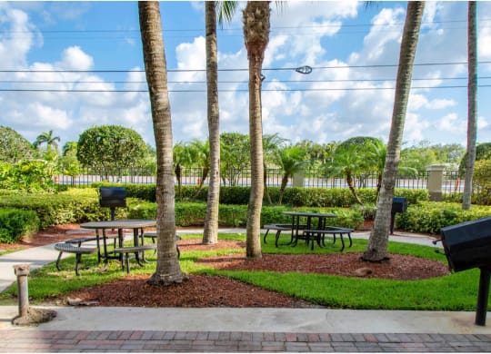 BBQ and picnic area at Windsor Coral Springs, Florida, 33067