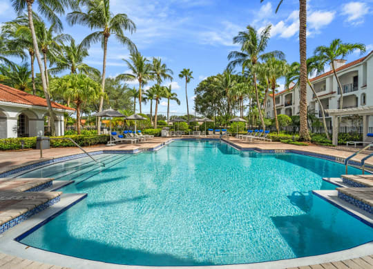 A large swimming pool with palm trees in the background at Windsor Coral Springs, Coral Springs, FL