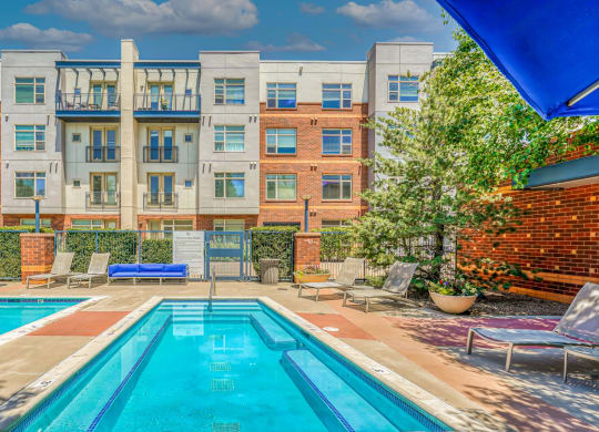 Aswimming pool with lounge chairs and a tree in front of an apartment building at The District, Denver, CO