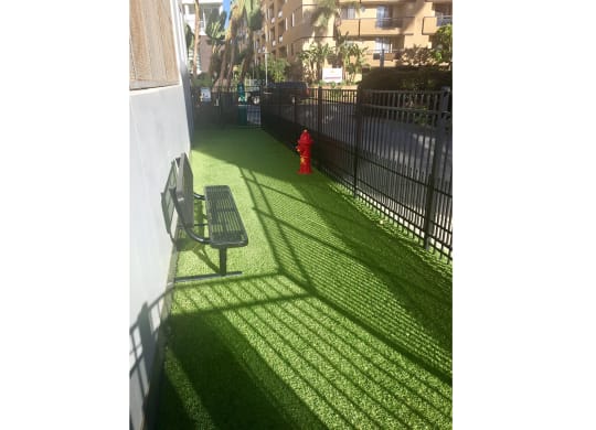 5550 Wilshire at Miracle Mile by Windsor is a Pet Friendly Community