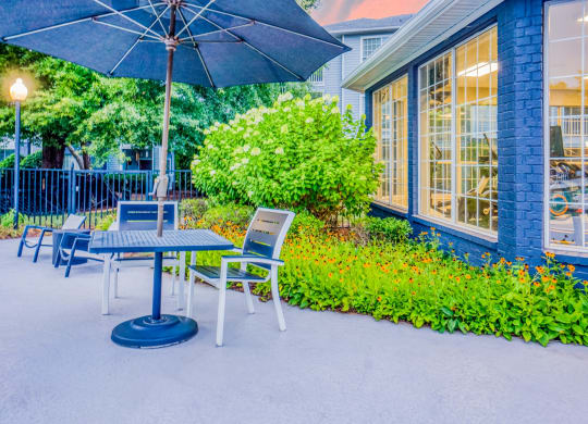 Outdoor seating and umbrella