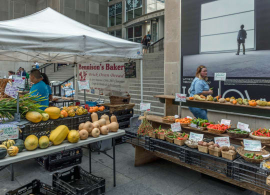 The SOAR Farmers Market is held every Tuesday, 7am-2pm at the Museum of Contemporary Art Plaza. June through October.
