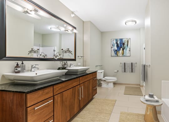 Double vanity in bathroomat Flair Tower, Chicago, Illinois