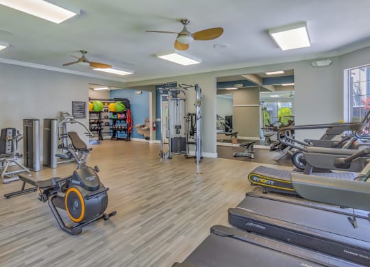 A gym with cardio equipment and weights at Windsor Addison Park