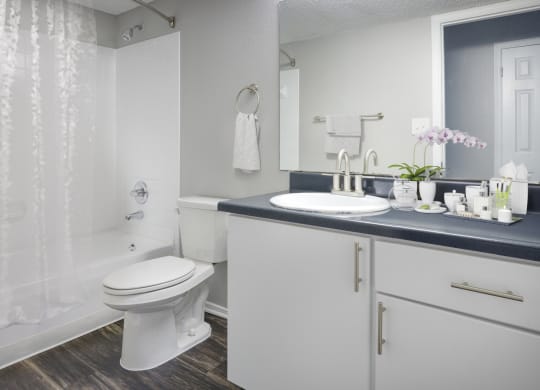 Modern Bathroom at Windsor Westminster, Westminster, Colorado