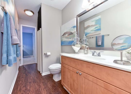 Windsor Oak Creek - Modern Bathroom with a toilet sink and mirror in Fairfax VA