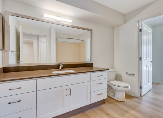 Renovated bathrooms at Tera Apartments, Kirkland, Washington
