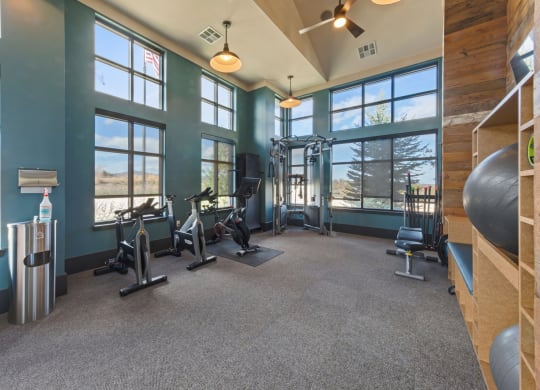 Fitness Center at Windsor at Pinehurst, Lakewood, CO