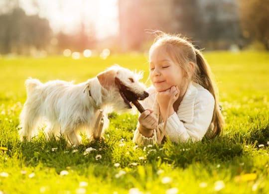 Child playing with dog in a grassy field