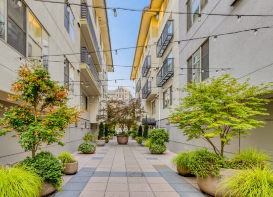 Courtyard views at Tera Apartments