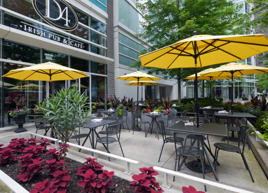The popular Streeterville neighborhood has so much to offer.