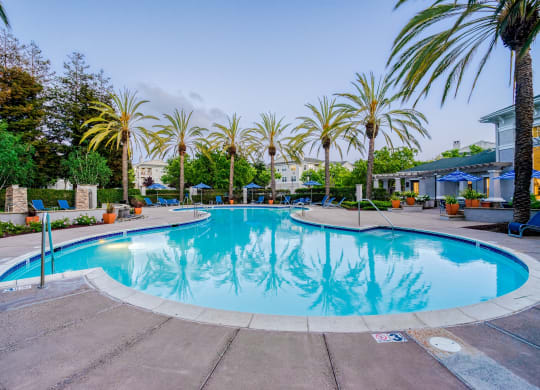 Resort-Style Pool with Tanning Ledge at The Estates at Park Place, California, 94538