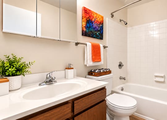 A bathroom with a white sink, toilet, and a shower with a colorful shower curtain.
