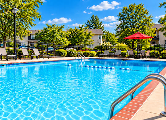 A swimming pool surrounded by trees and chairs.