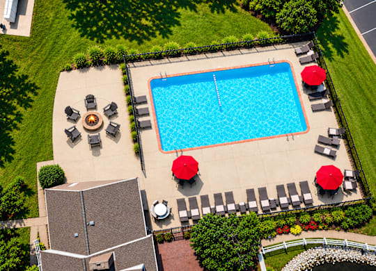 A pool surrounded by chairs and umbrellas.