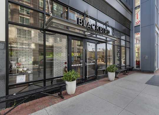 The exterior of a Blackbird restaurant with a glass facade and potted plants.