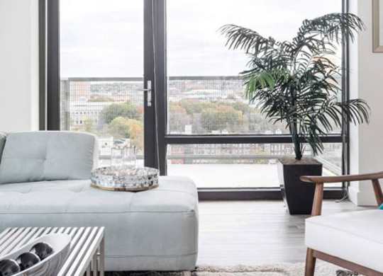 A living room with a grey couch, a coffee table, a potted plant, and a large window.