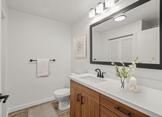 a bathroom with a toilet sink and mirror