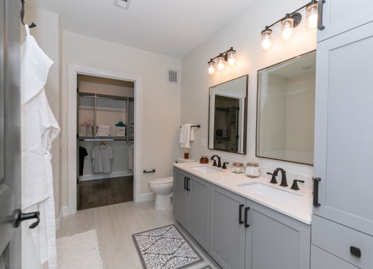 a bathroom with a sink and a mirror and a toilet